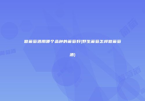 做葡萄酒用哪个品种的葡萄好(野生葡萄怎样做葡萄酒)