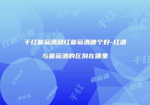 干红葡萄酒和红葡萄酒哪个好-红酒与葡萄酒的区别在哪里