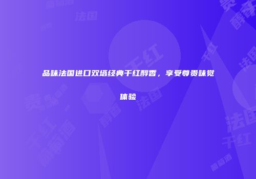 品味法国进口双塔经典干红醇香，享受尊贵味觉体验
