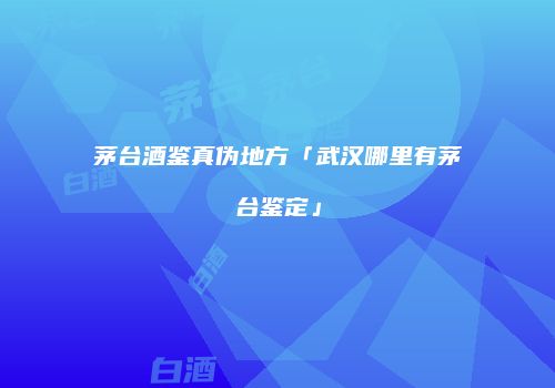 茅台酒鉴真伪地方「武汉哪里有茅台鉴定」