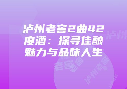 泸州老窖2曲42度酒：探寻佳酿魅力与品味人生