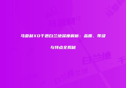 马爹利XO干邑白兰地深度解析：品质、等级与特点全揭秘