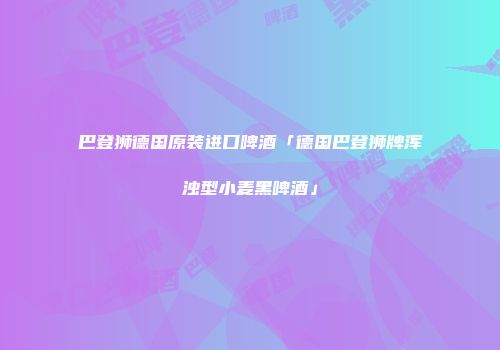 巴登狮德国原装进口啤酒「德国巴登狮牌浑浊型小麦黑啤酒」