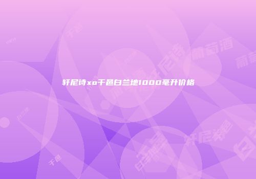轩尼诗xo干邑白兰地1000毫升价格