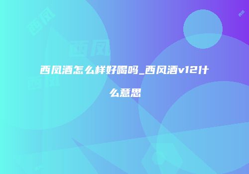 西凤酒怎么样好喝吗_西风酒v12什么意思