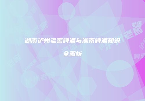 湖南泸州老窖啤酒与湖南啤酒知识全解析