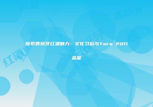 探索西班牙红酒魅力：文化习俗与Toro 2011品鉴