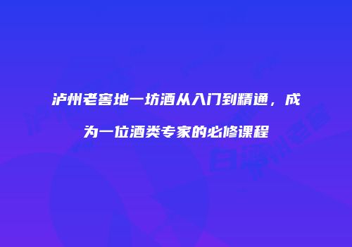 泸州老窖地一坊酒从入门到精通，成为一位酒类专家的必修课程
