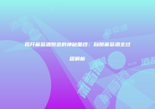 揭开葡萄酒酿造的神秘面纱：自酿葡萄酒全过程解析