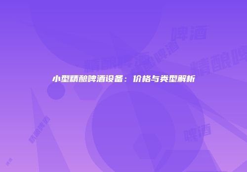 小型精酿啤酒设备：价格与类型解析