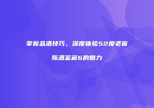 掌握品酒技巧，深度体验52度老窖陈酒鉴藏6的魅力