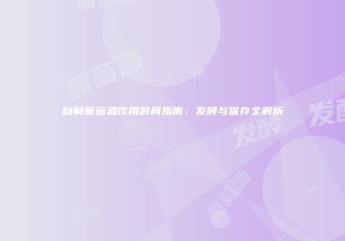 自制葡萄酒饮用时间指南：发酵与保存全解析