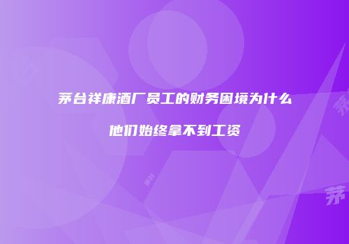 茅台祥康酒厂员工的财务困境为什么他们始终拿不到工资
