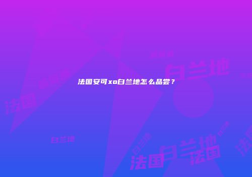 法国安可xo白兰地怎么品尝？