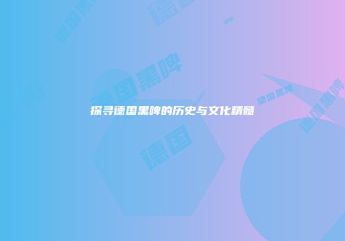 探寻德国黑啤的历史与文化精髓