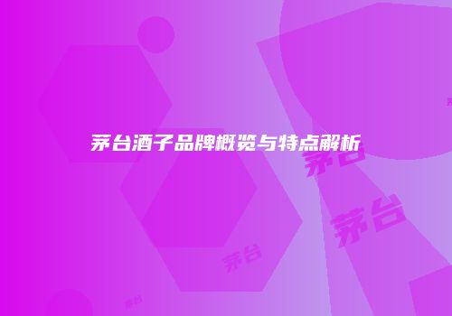 茅台酒子品牌概览与特点解析