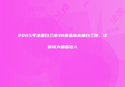 2005年法国白兰地38度品味高端白兰地，让你成为酒品达人