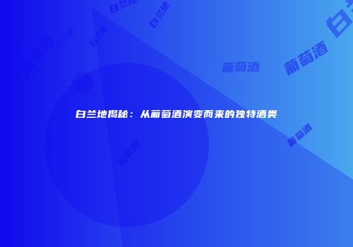 白兰地揭秘：从葡萄酒演变而来的独特酒类