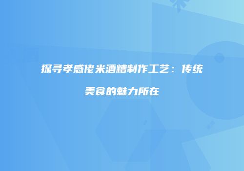 探寻孝感佬米酒糟制作工艺：传统美食的魅力所在