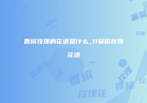 香槟玫瑰的花语是什么_11朵粉玫瑰花语