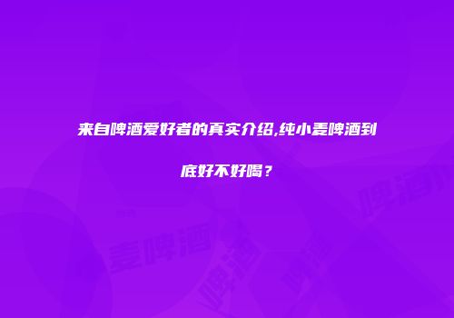 来自啤酒爱好者的真实介绍,纯小麦啤酒到底好不好喝？