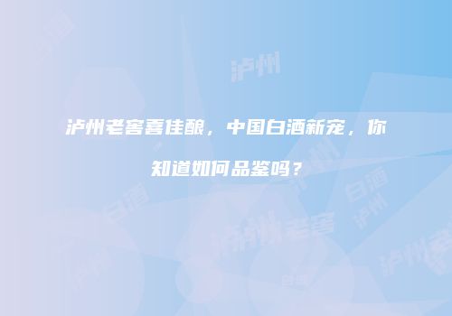 泸州老窖喜佳酿，中国白酒新宠，你知道如何品鉴吗？