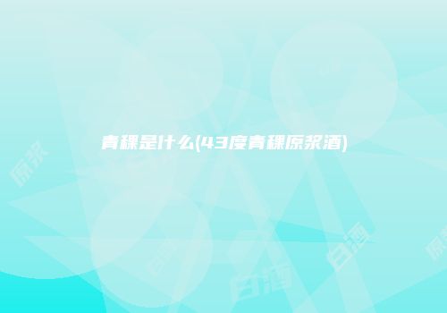 青稞是什么(43度青稞原浆酒)