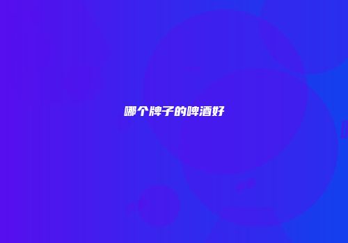 哪个牌子的啤酒好