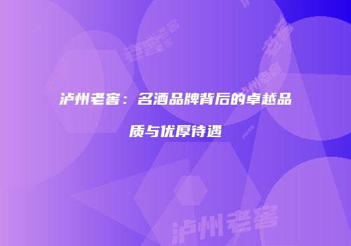 泸州老窖：名酒品牌背后的卓越品质与优厚待遇