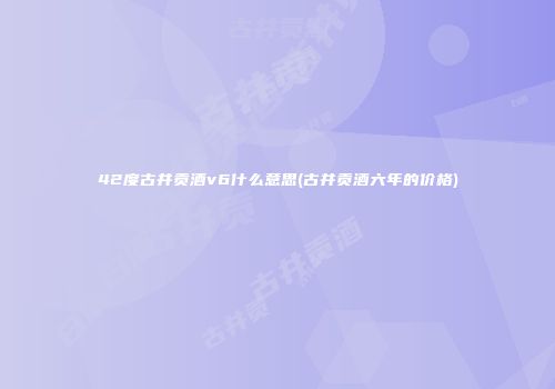 42度古井贡酒v6什么意思(古井贡酒六年的价格)