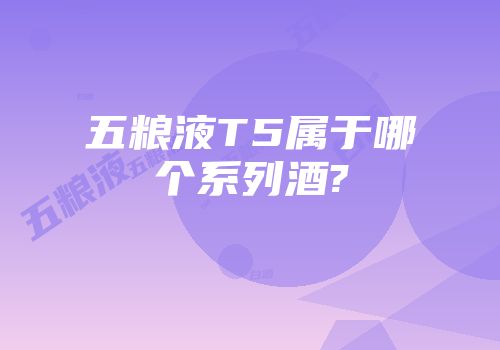 五粮液T5属于哪个系列酒?