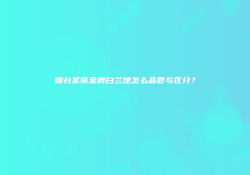 烟台圣蒂金爵白兰地怎么品尝与区分？