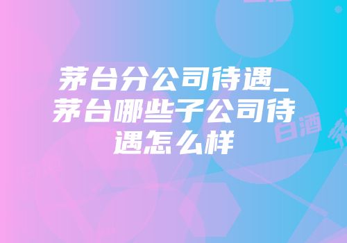 茅台分公司待遇_茅台哪些子公司待遇怎么样