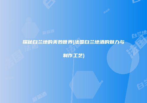 探秘白兰地的美妙世界(法国白兰地酒的魅力与制作工艺)