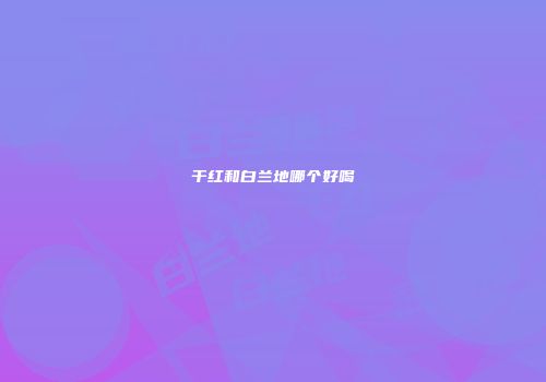 干红和白兰地哪个好喝