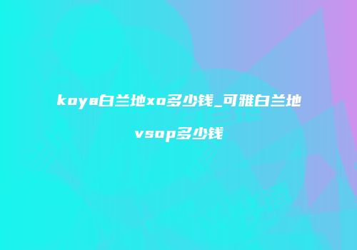 koya白兰地xo多少钱_可雅白兰地vsop多少钱