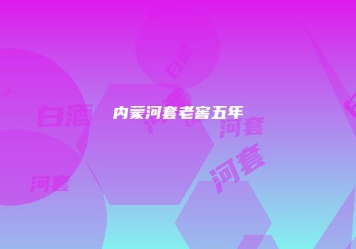 内蒙河套老窖五年