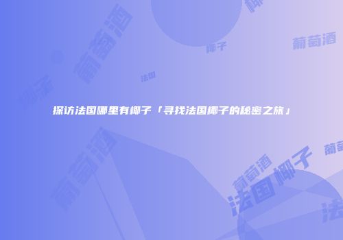 探访法国哪里有椰子「寻找法国椰子的秘密之旅」