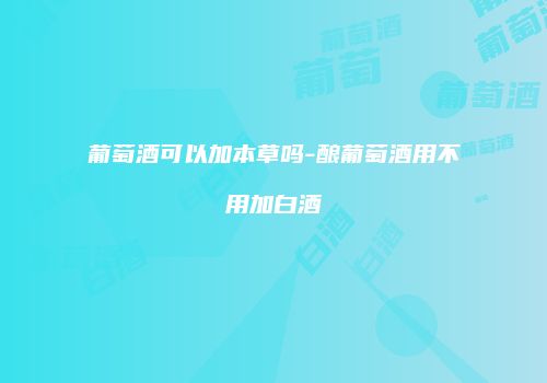 葡萄酒可以加本草吗-酿葡萄酒用不用加白酒
