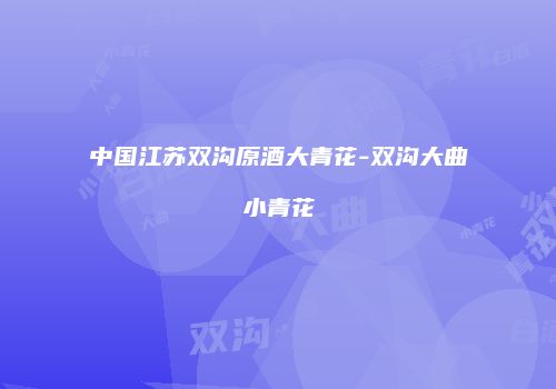中国江苏双沟原酒大青花-双沟大曲小青花