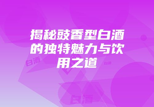 揭秘豉香型白酒的独特魅力与饮用之道
