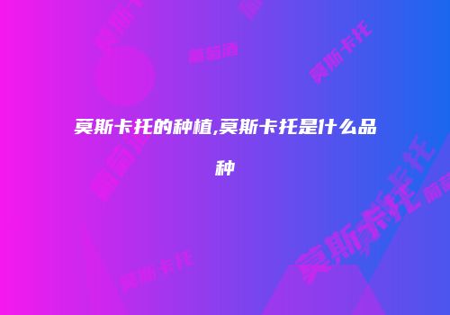 莫斯卡托的种植,莫斯卡托是什么品种
