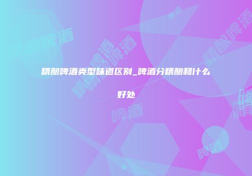 精酿啤酒类型味道区别_啤酒分精酿和什么好处