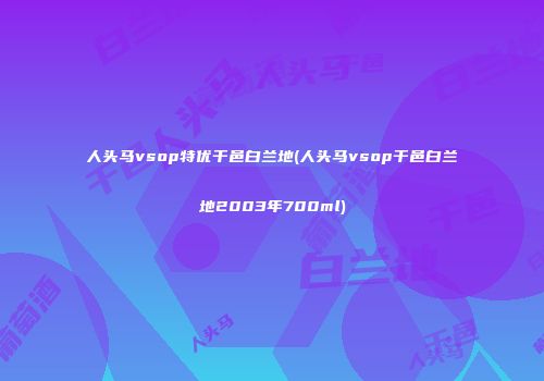 人头马vsop特优干邑白兰地(人头马vsop干邑白兰地2003年700ml)