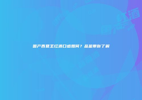 国产西夏王红酒口感如何？品鉴带你了解