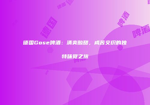 德国Gose啤酒：清爽酸甜，咸苦交织的独特味觉之旅