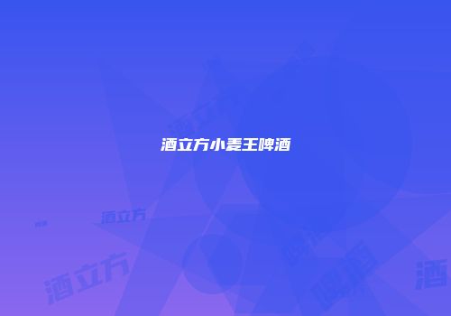 酒立方小麦王啤酒