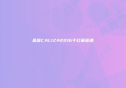 品鉴CALIZA2016干红葡萄酒
