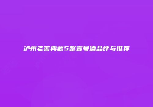 泸州老窖典藏5整壹号酒品评与推荐