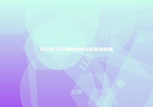 苏打水与红酒的独特搭配体验探析